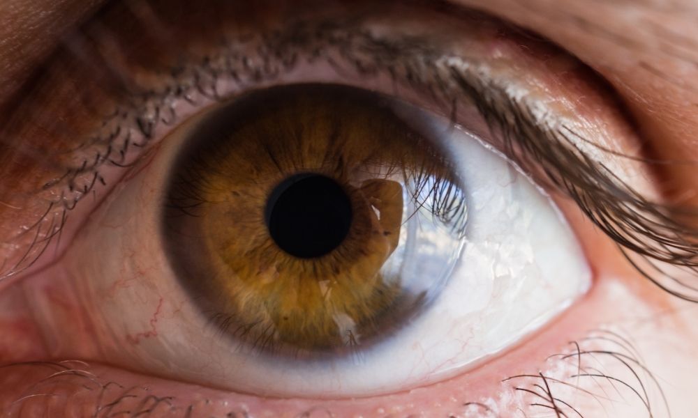 compromiso con la salud visual